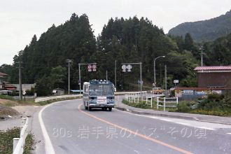 大沢