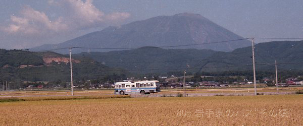 滝沢村鵜飼