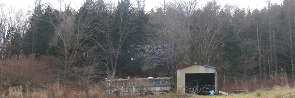 奥静