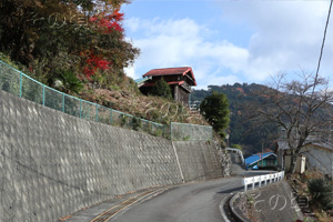 樽尾