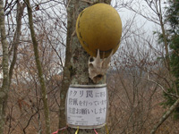 前回のあらすじ