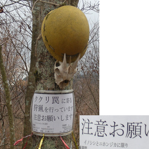 梅地