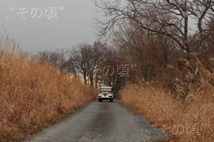 梅地