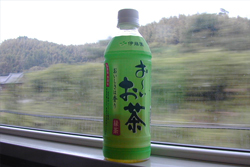 にっぽん奇行