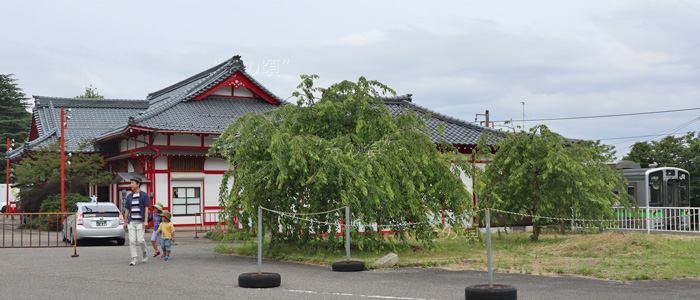 いすゞジャーニーQ