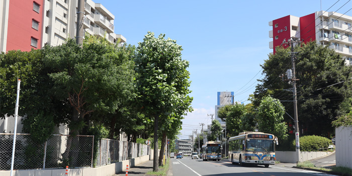 野庭団地