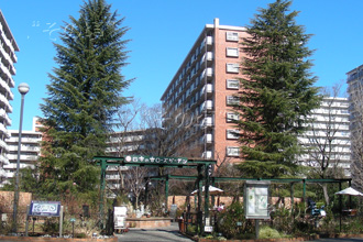 光が丘団地