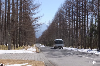 日野RV