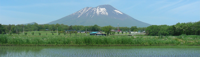 \1