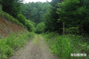 川上村