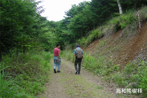 川上村