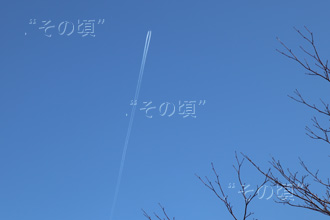 ロンドンバス