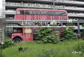 リージェント