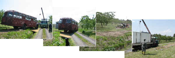 BX553