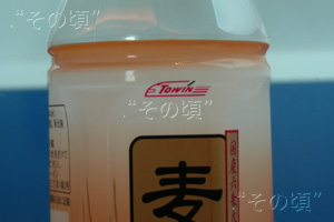 トーイン