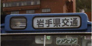 茧