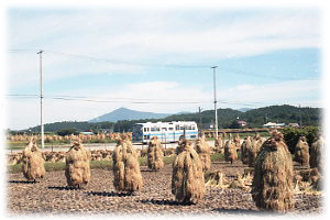 岩手県交通厨川中央線