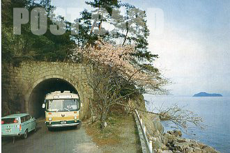 海津大崎