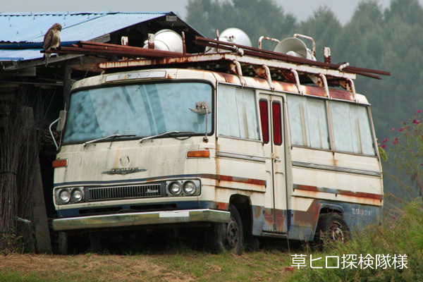 �V�r���A��