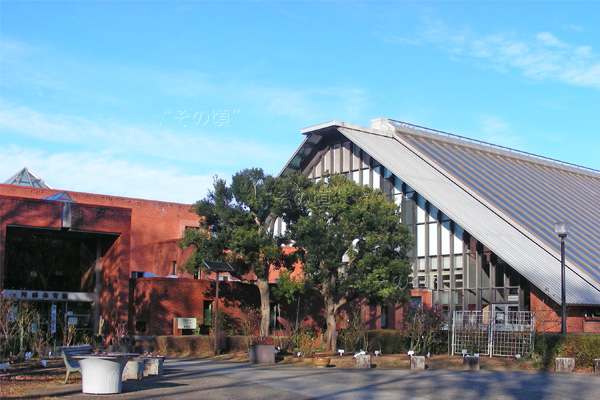 �����̈��