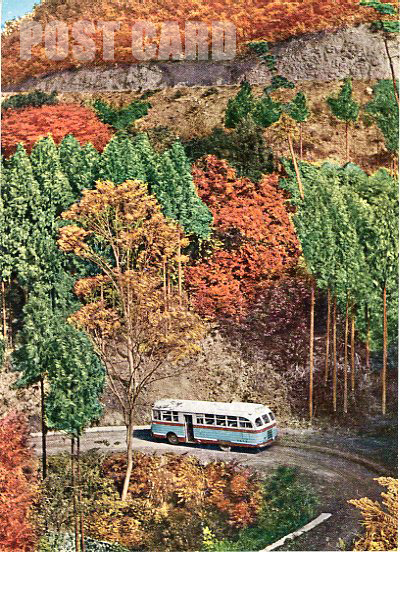 高州山登山自動車道路
