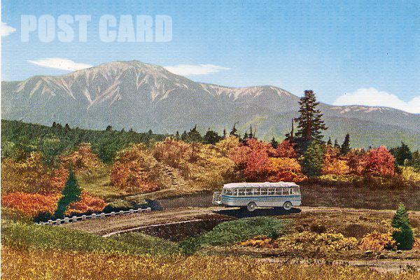 �����o�X