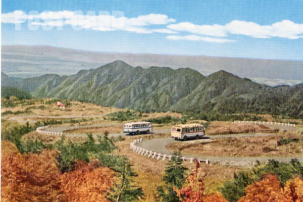 �����o�X