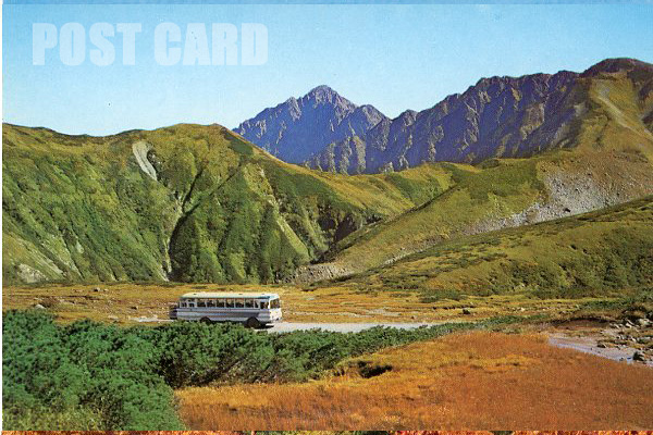 �����o�X