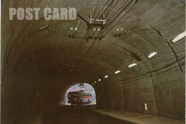 �����_��