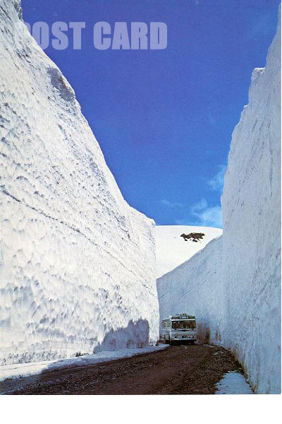 �����o�X