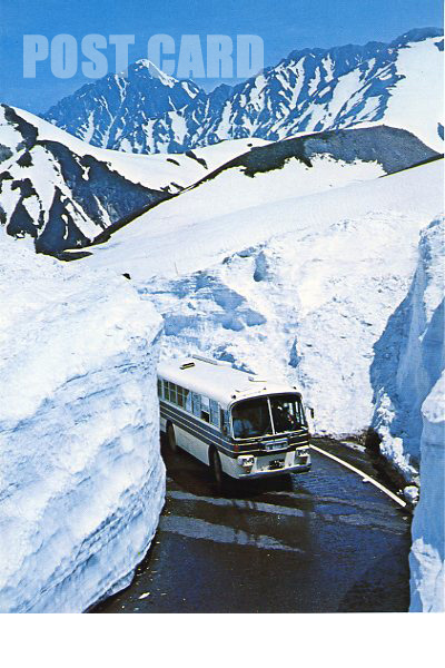 ���R�R�x�o�X