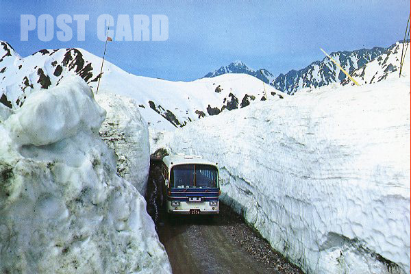 �����o�X