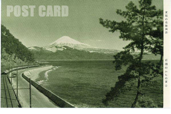 ���C���{��