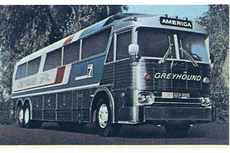 グレイハウンド