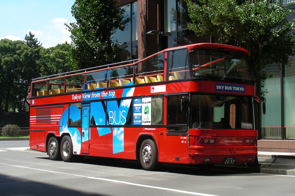 �X�J�C�o�X