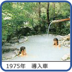 1975�N