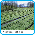 1983�N