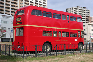 �����h���o�X