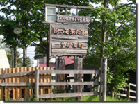 �E���Ă�����