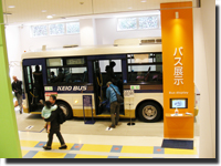 ������[�郉���h