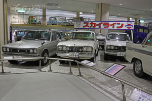 ���Y�̍L��