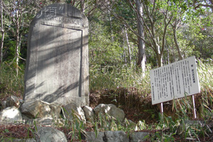 �������Y�N�񓿔�