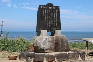 �痢�l�Ȃ����h���C�u�E�F�C