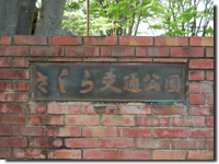 �������ʌ���