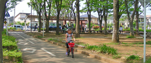 �������ʌ���