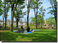 �������ʌ���