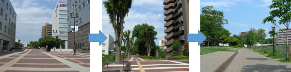 �������ʌ���