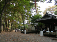 �Z���^�[�]�[��