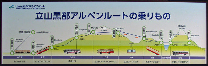 �g���o�X�L�O��