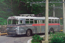 �g���o�X�L�O��